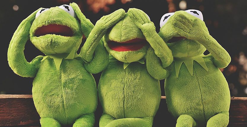 Frosch bekommt es mit seinem Duschgel mit völlig neuen Konkurrenten zu tun: zum Beispiel mit Lavera, Weleda und Kneipp. Markendehnung Frosch - Image by ????Merry Christmas ???? from Pixabay