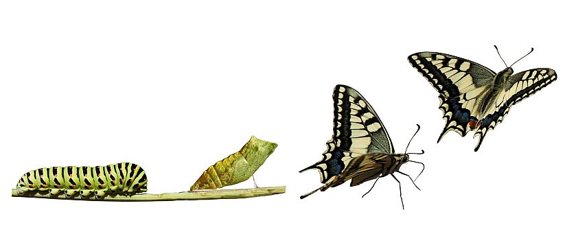 Bildquelle: ©JPS - Fotolia.com Bildquelle: ©JPS - Fotolia.com