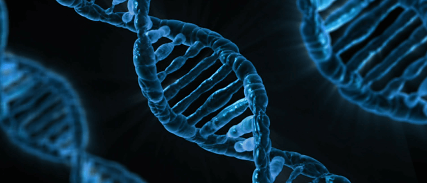 Marken-DNA / Bildquelle: @PublicDomainPictures / Pixabay Marken-DNA / Bildquelle: @PublicDomainPictures / Pixabay
