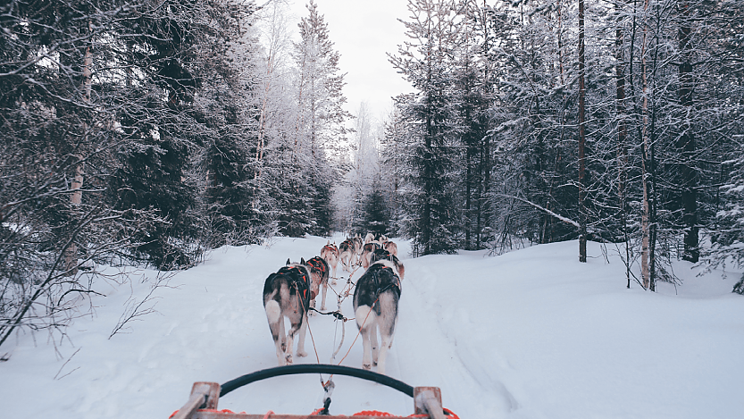 @foxjeef - unsplash.de @foxjeef - unsplash.de